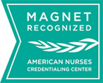 Magnet Award Icon