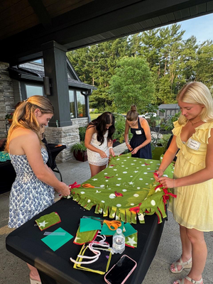 Project Linus 2025-3