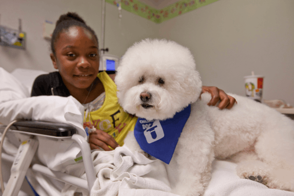 Doggie Brigade canine with patient