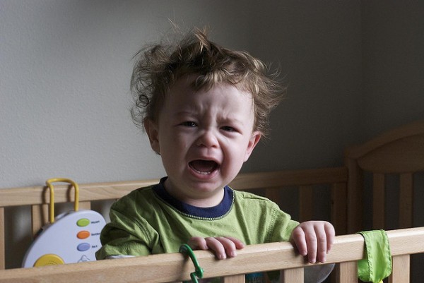 Photo by Tom Carmony