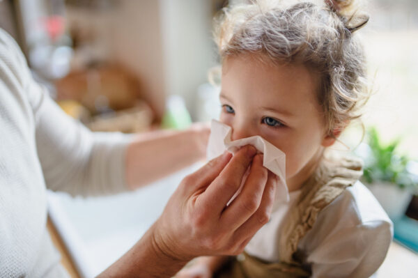 Father with small sick toddler daughter indoors at home, blowing nose.