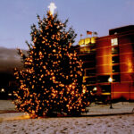 Womens Bd Holiday Tree Lighting Photo Nancy Heslop