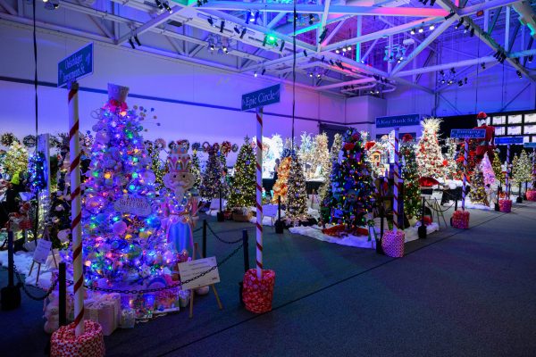 Childrens Hospital Tree Festival 11-14-2025-9