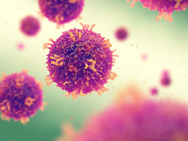Measles Morbilliviruses