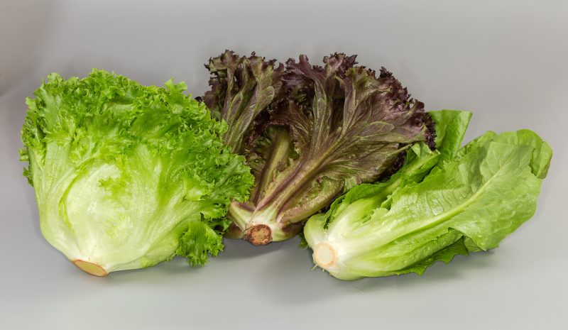 Three heads of different lettuce lie on a gray surface