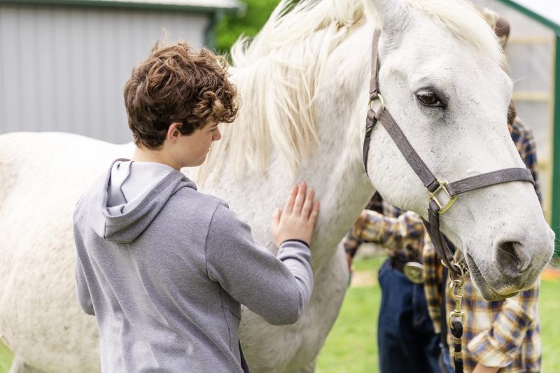 GettyImages-boy petting horse resized