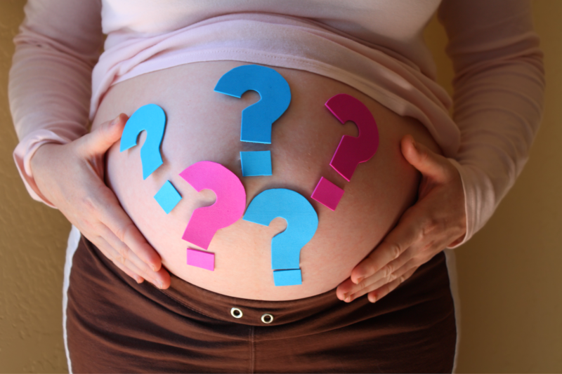 A pregnant woman is shown with her shirt pulled up to her ribs. She holds her exposed stomach on either side. Her stomach has blue and pink question marks on it. She is wearing brown pants and a pink shirt.