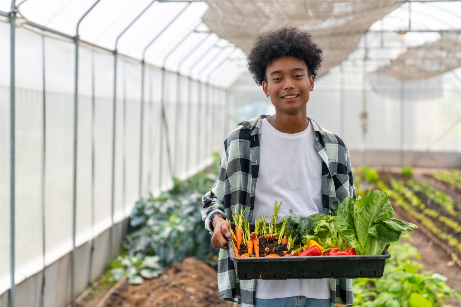 Teen boy smiling in a greenhouse and holding a container of freshly picked vegetables including carrots, peppers and lettuce.