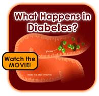 What Happens in Diabetes?