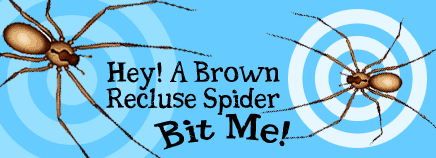 Hey! A Brown Recluse Spider Bit Me!
