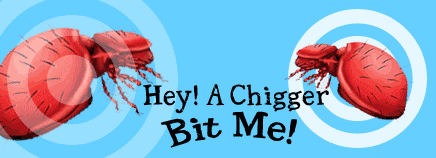 Hey! A Chigger Bit Me!