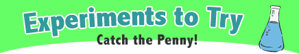 Senses Experiment: Catch the Penny!