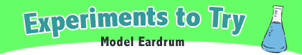 Senses Experiment: Model Eardrum