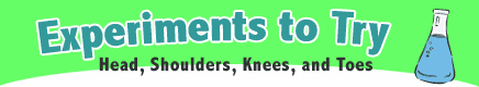 Senses Experiment: Head, Shoulders, Knees, and Toes