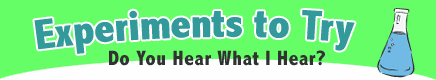 Senses Experiment: Do You Hear What I Hear?