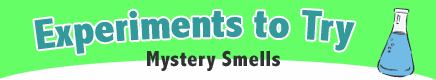 Senses Experiment: Mystery Smells