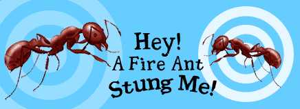Hey! A Fire Ant Stung Me!