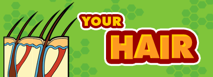 Your Hair