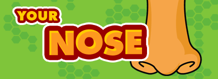 Your Nose