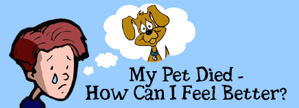 My Pet Died - How Can I Feel Better?