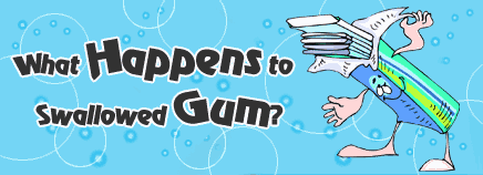 What Happens to Swallowed Gum?