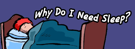 Why Do I Need to Sleep?