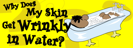 Why Does My Skin Get Wrinkly in Water?