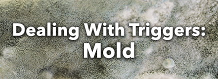 Dealing With Triggers: Mold