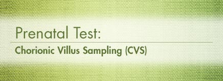 Prenatal Test: Chorionic Villus Sampling (CVS)