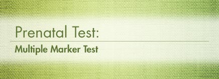Prenatal Test: Multiple Marker Test