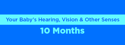 Your Baby's Hearing, Vision, and Other Senses: 10 Months
