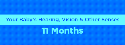 Your Baby's Hearing, Vision, and Other Senses: 11 Months