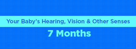 Your Baby's Hearing, Vision, and Other Senses: 7 Months