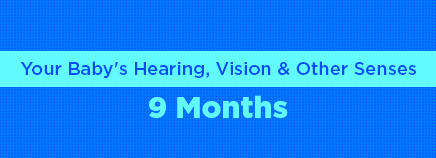 Your Baby's Hearing, Vision, and Other Senses: 9 Months