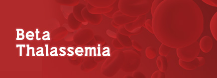 Beta Thalassemia