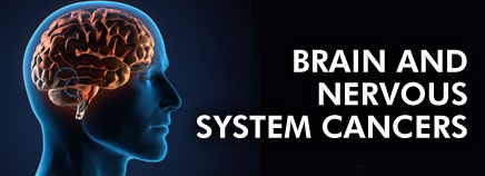 Brain and Nervous System Cancers