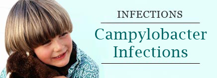 Campylobacter Infections