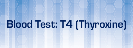 Blood Test: T4 (Thyroxine)