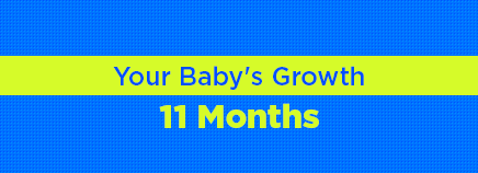 Your Baby's Growth: 11 Months