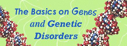 The Basics on Genes and Genetic Disorders