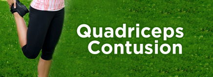 Quadriceps Contusion