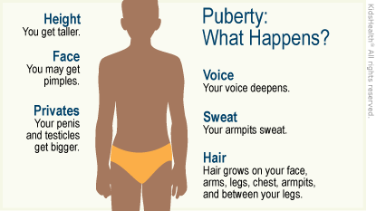 Illustration: Changes during puberty for boys