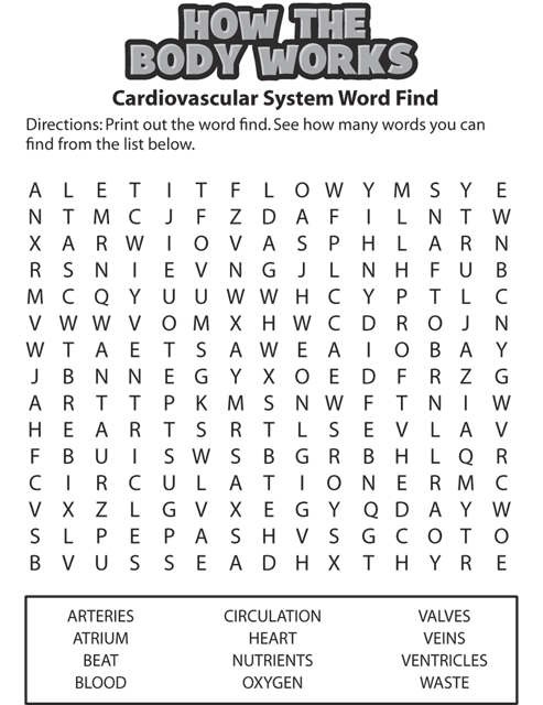 Kidshealth Word Search Heart Circulatory System Akron