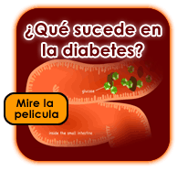 Qué pasa en la diabetes?