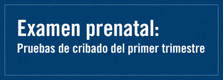 Examen prenatal: Pruebas de cribado del primer trimestre