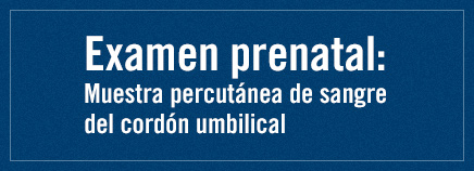 Examen prenatal: Muestra percutánea de sangre del cordón umbilical