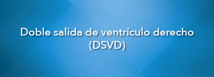 Doble salida de ventrículo derecho (DSVD)
