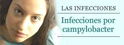 Infecciones por campylobacter