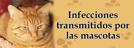 Infecciones transmitidos por las mascotas