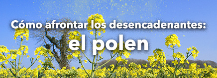 Cómo afrontar los desencadenantes: el polen